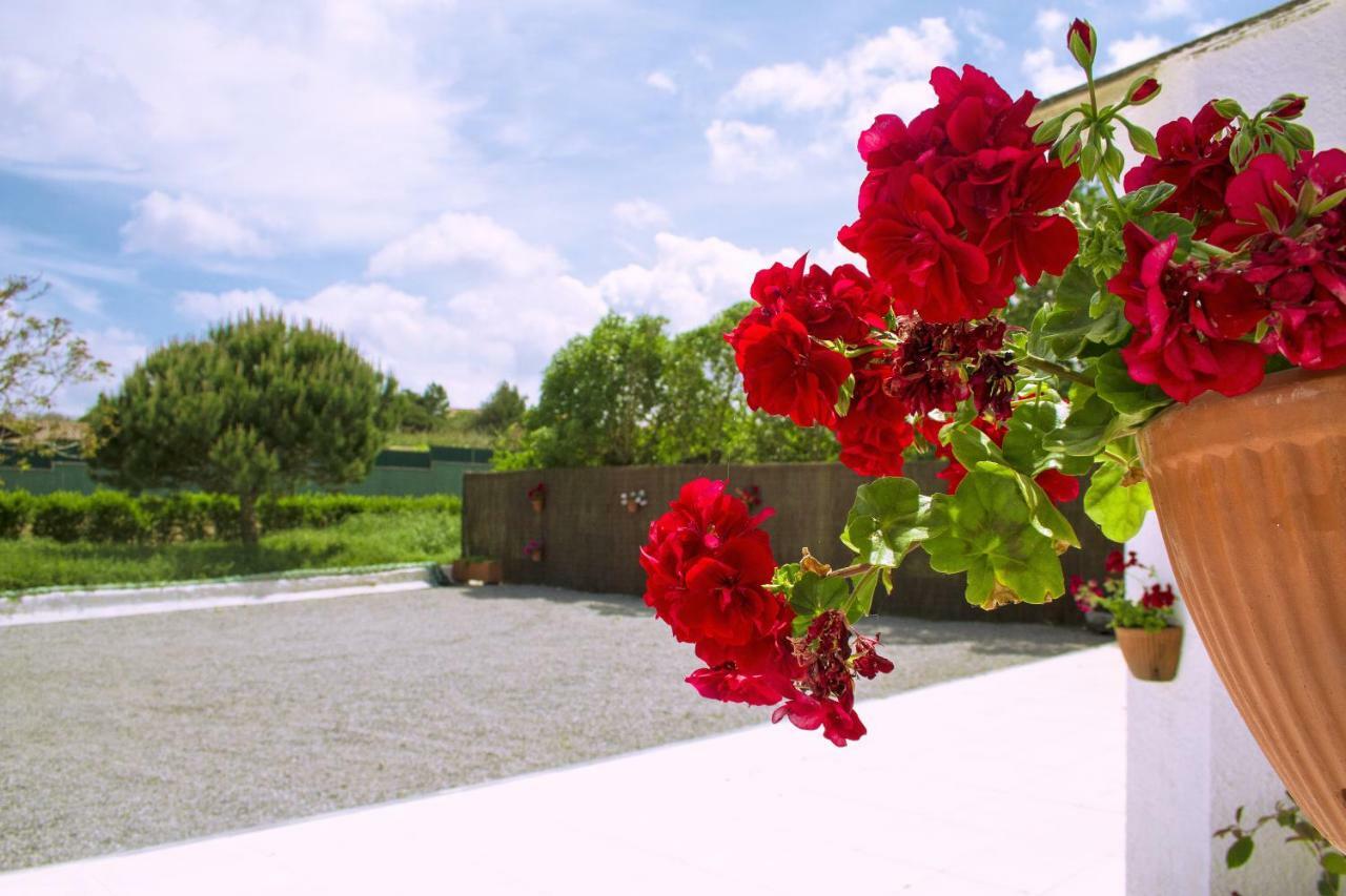 Casal Do Gois Guest House 아토우기아다발레이아 외부 사진
